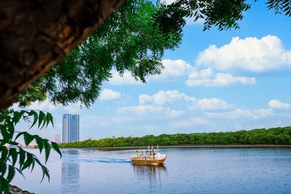 Apartment Innenraum RAK